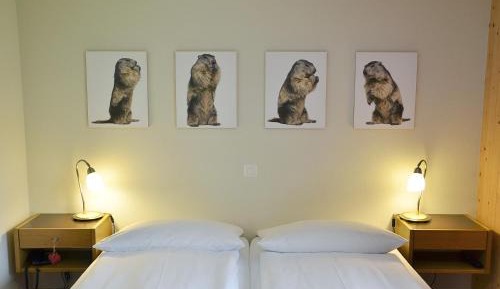 Basic Double Room