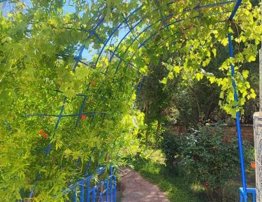 Double Room with Garden View