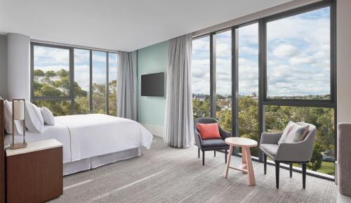 Large King View Room
