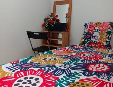 Single Room with Terrace