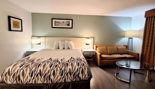 King Room with Lake View - Non-Smoking
