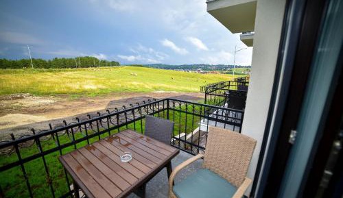One-Bedroom Apartment with Balcony and Mountain View  