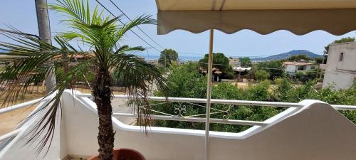 Two-Bedroom Apartment with Balcony and Terrace