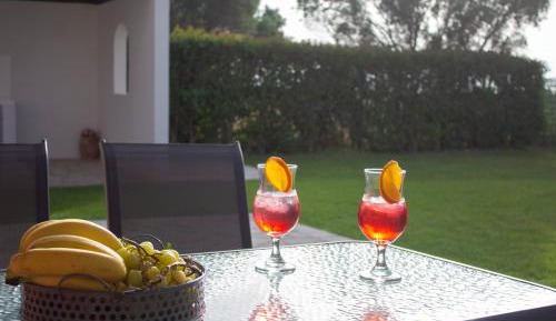 Studio with Garden View