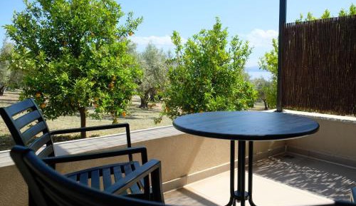 Deluxe Double or Twin Room with Garden View