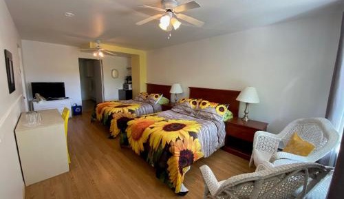 Double Room with Two Double Beds