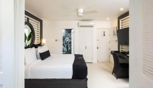 Mini King Suite