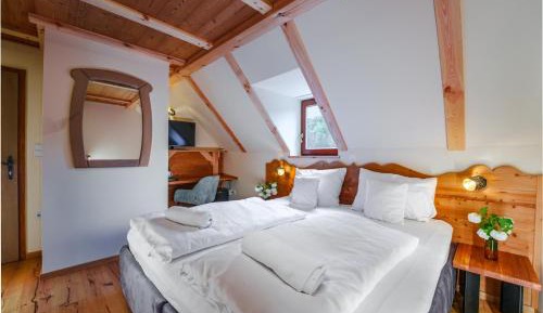 Double or Twin Room with Mountain View