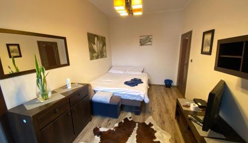 Double Room with Shared Bathroom