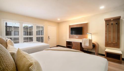 Superior Queen Room