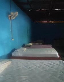 Bed in 8-Bed Mixed Dormitory Room