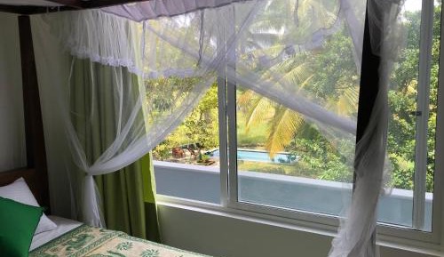 King Room with Pool View