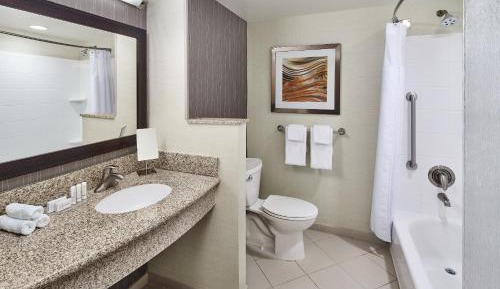 One-Bedroom King Suite