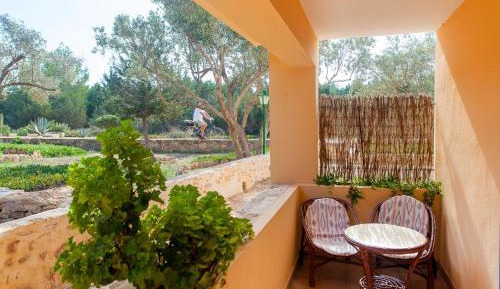One-Bedroom Apartment with Terrace