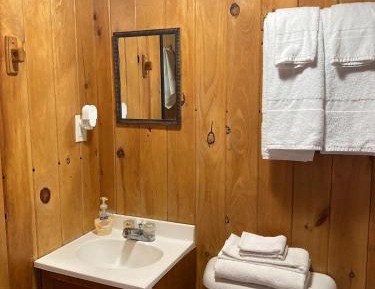 Eagle's Nest Cabin 6 with Loft 