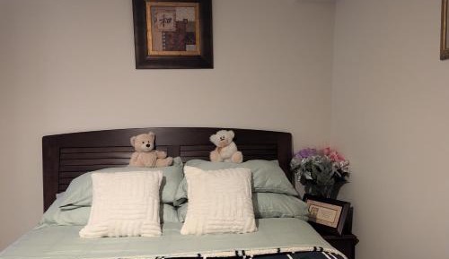Deluxe Queen Suite