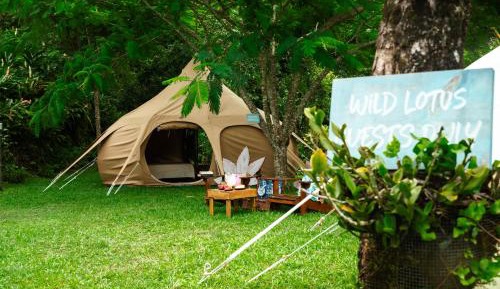 Tent