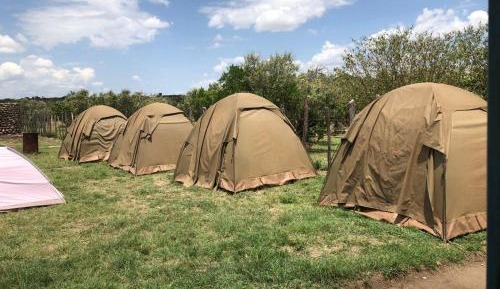 Tent