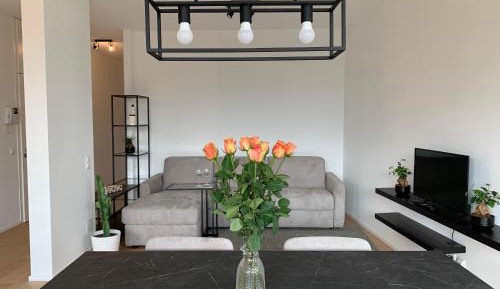 Deluxe One-Bedroom Apartment