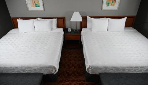 Deluxe King Suite