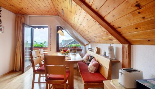Superior One-Bedroom Apartment with Balcony