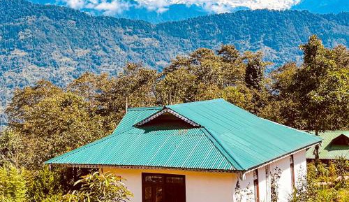 Double Room with Mountain View