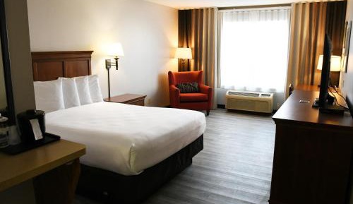 Queen Room - Disability Access