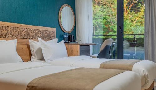 Standard Twin Room with Mountain View
