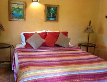 Queen Room with Jungle View