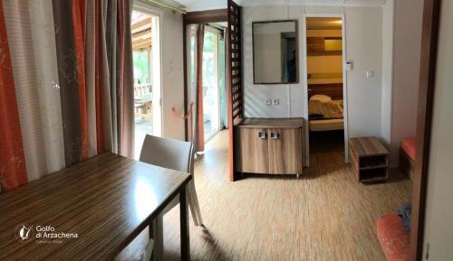Mobile Home
