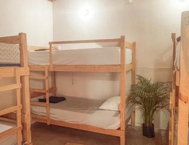Bed in 6-Bed Mixed Dormitory Room