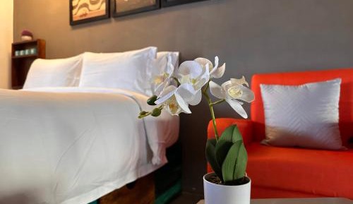 Loft with 1 Queen Bed and 1 Sofa Bed