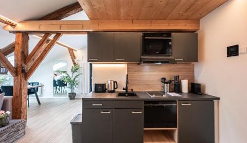 Deluxe Apartment