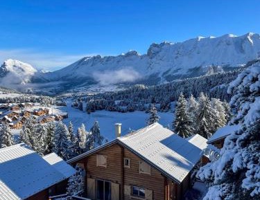 Chalet