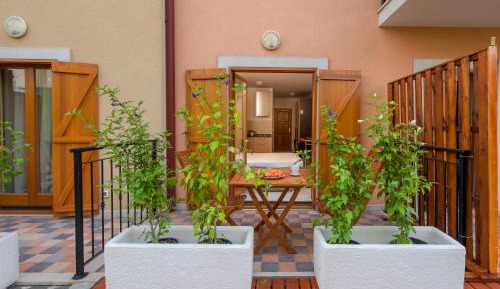 Studio with Terrace