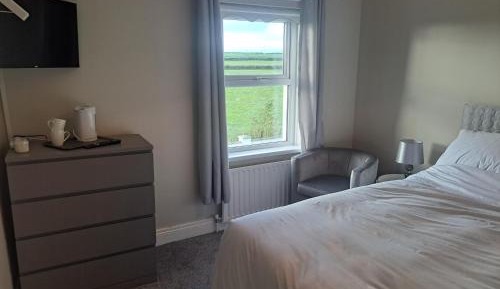 King Room with Garden View