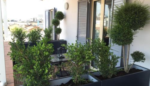 Superior Double Room with Terrace