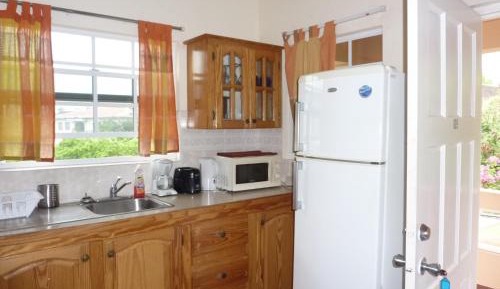 Deluxe One-Bedroom Apartment