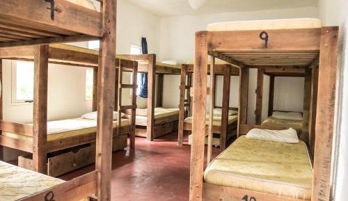 Bunk Bed in Mixed Dormitory Room