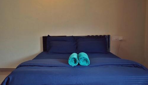 Deluxe Double or Twin Room with Balcony