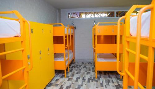 Bed in 8-Bed Dormitory Room