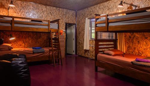 Bunk Bed in Mixed Dormitory Room