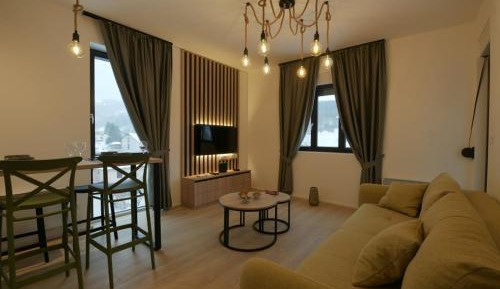 Apartment with Mountain View