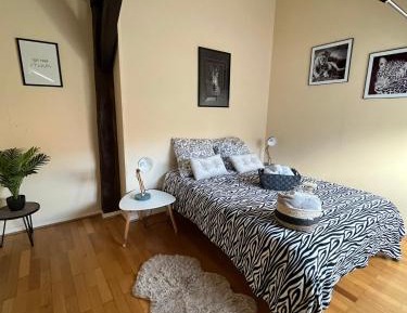 Duplex Apartment