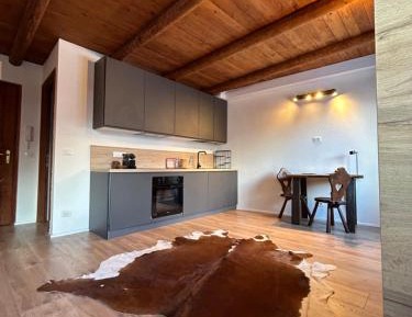Studio with Terrace