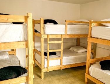 Bed in 6-Bed Dormitory Room