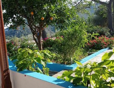 Apartment with Garden View