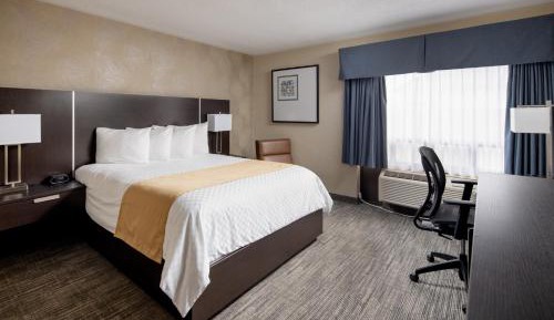 Queen Room