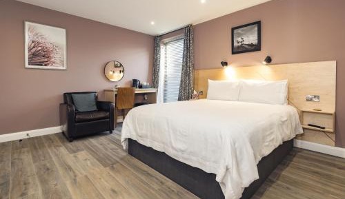 Deluxe King Room