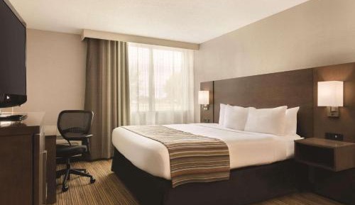 Standard Queen Room